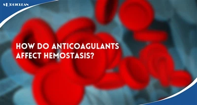 Hoe beïnvloeden anticoagulantia de hemostase? Een praktische gids voor medisc...